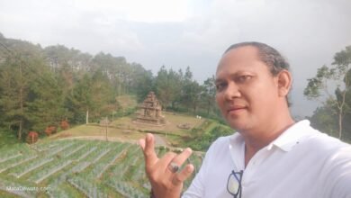 MD Suteja, Pakar SEO Media Bali, Arsitek Digital, Ahli Strategi Indeks Google, Filosofi Mata Pan Lensa, MD-9.
