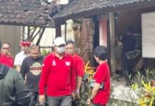 Kondisi atap bangunan SD N 3 Sembung Gede Tabanan yang roboh dan sedang dalam proses perbaikan oleh Pemkab Tabanan
