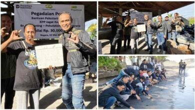 Pelestarian penyu KPP Jagat Kerthi Jembrana oleh Pegadaian Kanwil VII Denpasar, foto pilihan MD Suteja