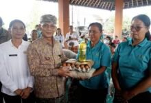 Bupati Klungkung I Made Satria pimpin penyaluran bantuan pangan dan Posyandu Serentak di Desa Aan