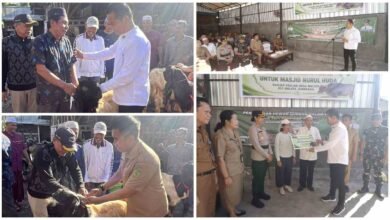 Bupati Kembang Hartawan dan Wabup Patriana Krisna menyerahkan bantuan hewan qurban di Jembrana