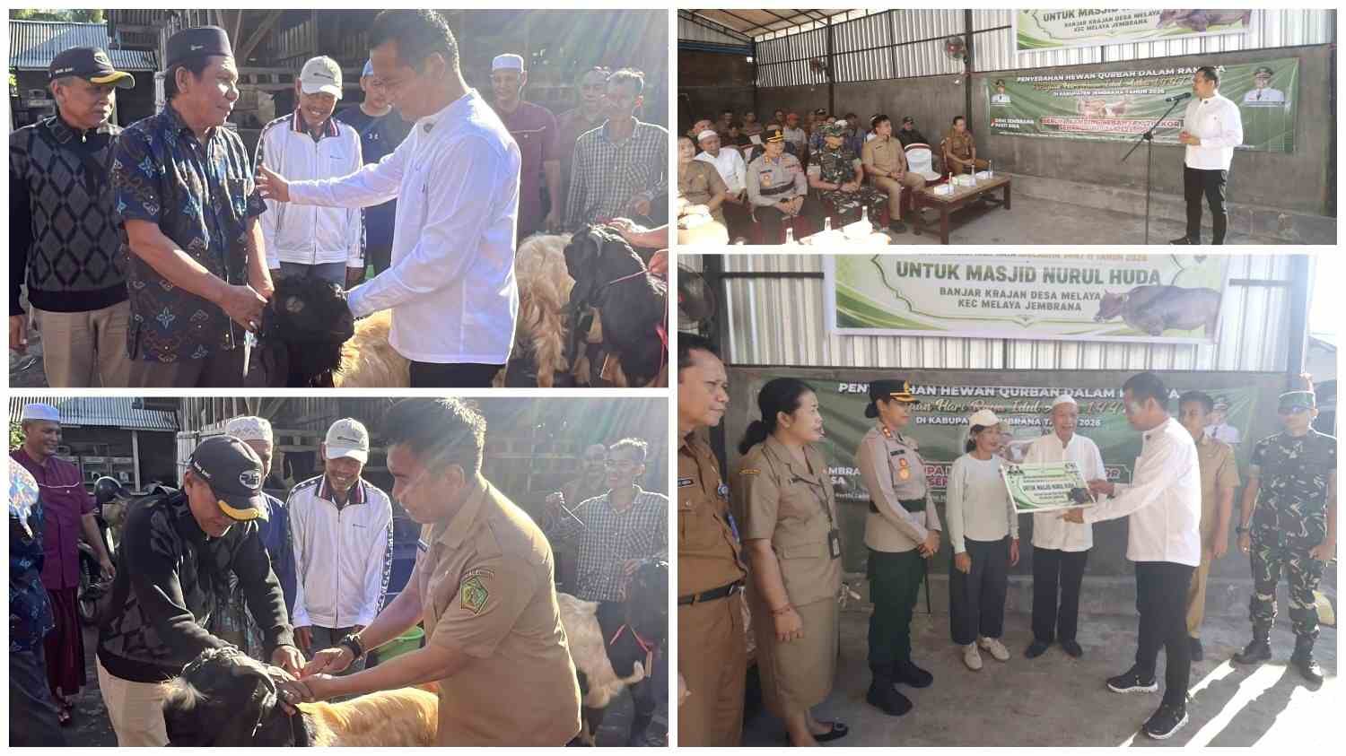 Bupati Kembang Hartawan dan Wabup Patriana Krisna menyerahkan bantuan hewan qurban di Jembrana
