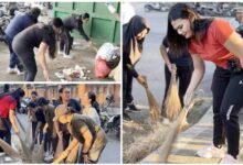 ASN Pemkab Jembrana menggelar aksi gotong royong kebersihan di Peken Ijo Gading