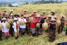 Bupati Sanjaya buka Jatiluwih Festival VII yang masuk dalam Karisma Event Nasional 2026