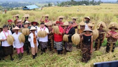 Bupati Sanjaya buka Jatiluwih Festival VII yang masuk dalam Karisma Event Nasional 2026