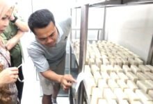 Sentra Produksi Bali Pure di Kecamatan Tejakula