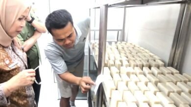 Sentra Produksi Bali Pure di Kecamatan Tejakula