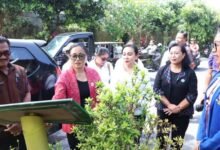Ketua TP Posyandu Kota Denpasar, Ny. Sagung Antari Jaya Negara, didampingi Sekretaris I TP Posyandu Kota Denpasar, Ny. Ayu Kristi Arya Wibawa, saat memberikan Pembinaan Lokus (Lokasi Khusus) Telajakan se-Kota Denpasar