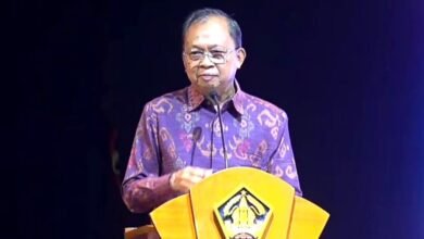 Gubernur Bali, Wayan Koster