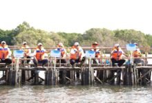 Peringati Hari Mangrove Sedunia 2026 di Tahura Ngurah Rai Gubernur Koster bersama menteri pusat tanam ribuan bibit
