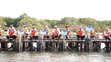 Peringati Hari Mangrove Sedunia 2026 di Tahura Ngurah Rai Gubernur Koster bersama menteri pusat tanam ribuan bibit