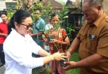 Jelang lomba taman telajakan Provinsi Bali 2026 Pemkot Denpasar perkuat pembinaan lokus dan integrasikan dengan Posyandu 6 SPM