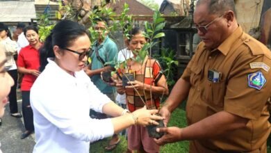 Jelang lomba taman telajakan Provinsi Bali 2026 Pemkot Denpasar perkuat pembinaan lokus dan integrasikan dengan Posyandu 6 SPM