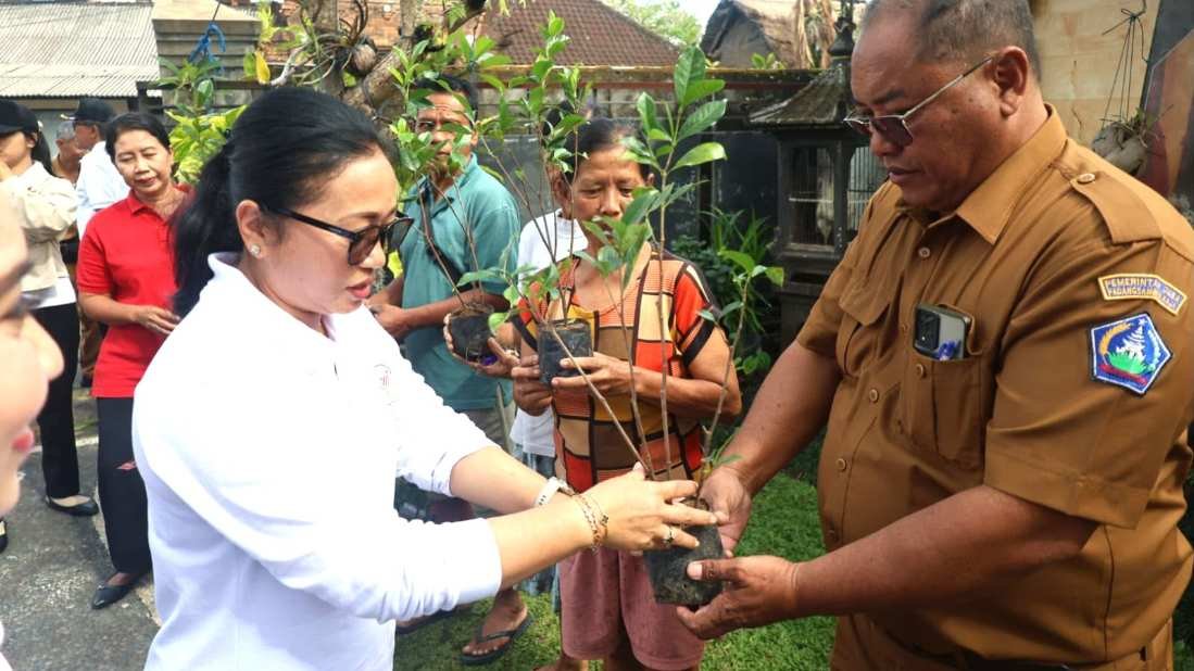 Jelang lomba taman telajakan Provinsi Bali 2026 Pemkot Denpasar perkuat pembinaan lokus dan integrasikan dengan Posyandu 6 SPM