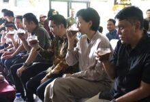 Jembrana Komitmen Pertahankan Kualitas Kakao