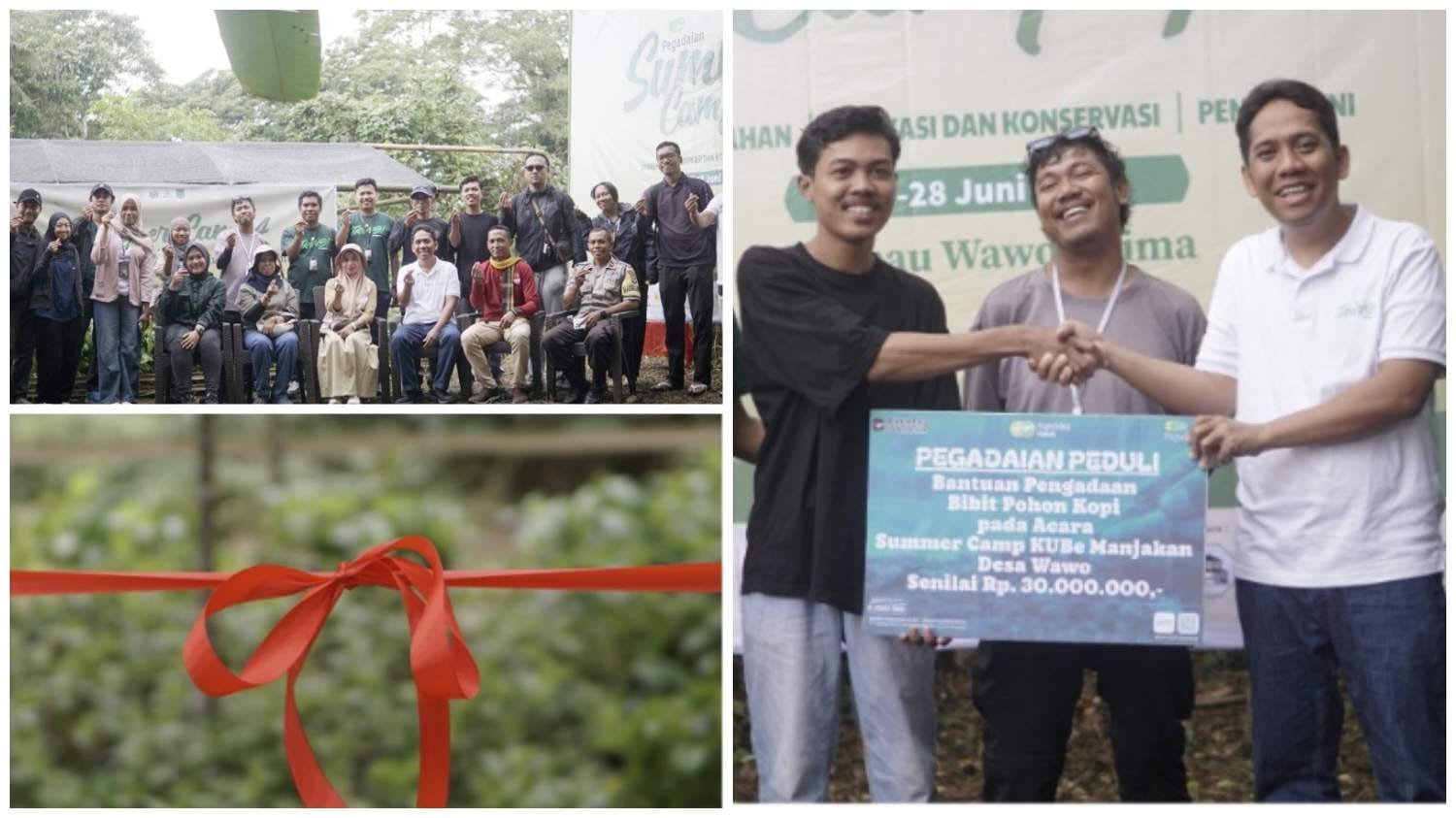 PT Pegadaian Area Pulau Sumbawa meresmikan Rumah Bibit dan menyerahkan 1.000 bibit kopi di Riamau Wawo Bima
