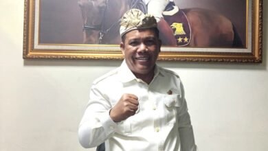 Ketua Fraksi Gerindra-PSI DPRD Provinsi Bali, Gede Harja Astawa