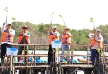 Gubernur Koster canangkan gerakan tanam mangrove bulanan di Bali perkuat visi Nangun Sat Kerthi Loka Bali