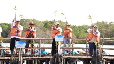 Gubernur Koster canangkan gerakan tanam mangrove bulanan di Bali perkuat visi Nangun Sat Kerthi Loka Bali