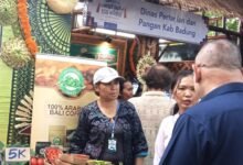 Foto: Suasana penyelenggaraan BRI Nusa Dua Eco Market 2026 di Peninsula Island