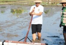 Bupati Adi Arnawa saat acara Gerakan Tanam Padi metode Pertanian Modern Advanced Agriculture System (PMAAS) di Subak Tanah Yeng, Desa Sedang, Kecamatan Abiansemal