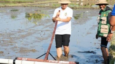 Bupati Adi Arnawa saat acara Gerakan Tanam Padi metode Pertanian Modern Advanced Agriculture System (PMAAS) di Subak Tanah Yeng, Desa Sedang, Kecamatan Abiansemal
