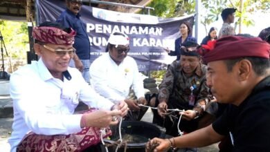 Bupati Klungkung, I Made Satria membuka Surya Metu Festival