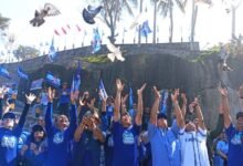 demokrat bali