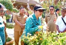 Bunda Rai gelar Lomba Aku Hatinya PKK dan tinjau inovasi pengelolaan sampah di Kecamatan Tabanan dan Kediri