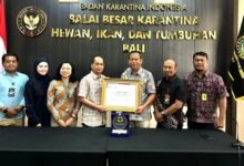 Karantina Bali dapat penghargaan internasional dari IUCN karena selamatkan ribuan burung liar