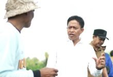 Diperpa Badung segera tanam cabai di lahan 42 hektare target produksi 420 ton