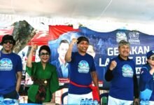 partai demokrat bali