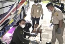 penyenlundupan burung tanpa dokumen