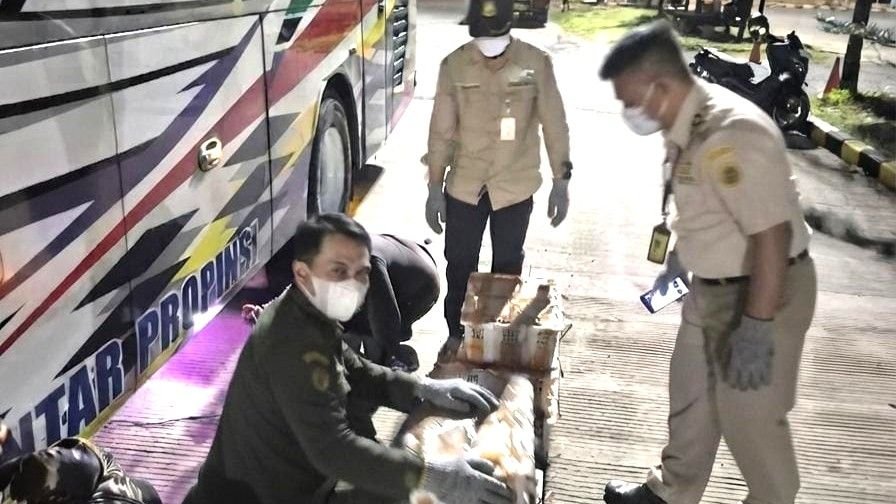 penyenlundupan burung tanpa dokumen