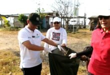 Manager PLN UP2D Bali Petrus Irwan Ichwansaputra (paling kiri) berkesempatan ikut serta langsung dalam kegiatan bersih pantai di Biaung