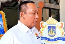 Ketum Kadin Provinsi Bali, I Made Ariandi