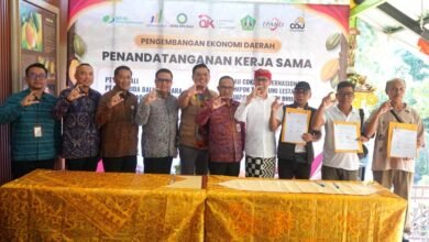 Stakeholder sektor pertanian di Tabanan sambut antusias OJK kawal akses pembiayaan berbasis ekosistem bersama Bank BPD Bali