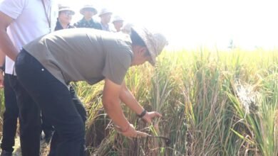 Dorong hasil panen melimpah Bupati Kembang ajak petani maksimalkan PM-AAS