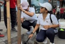 Pemkab Badung hijaukan koridor Canggu lewat investasi ekologis dan penanaman pohon di Jalan Batu Mejan