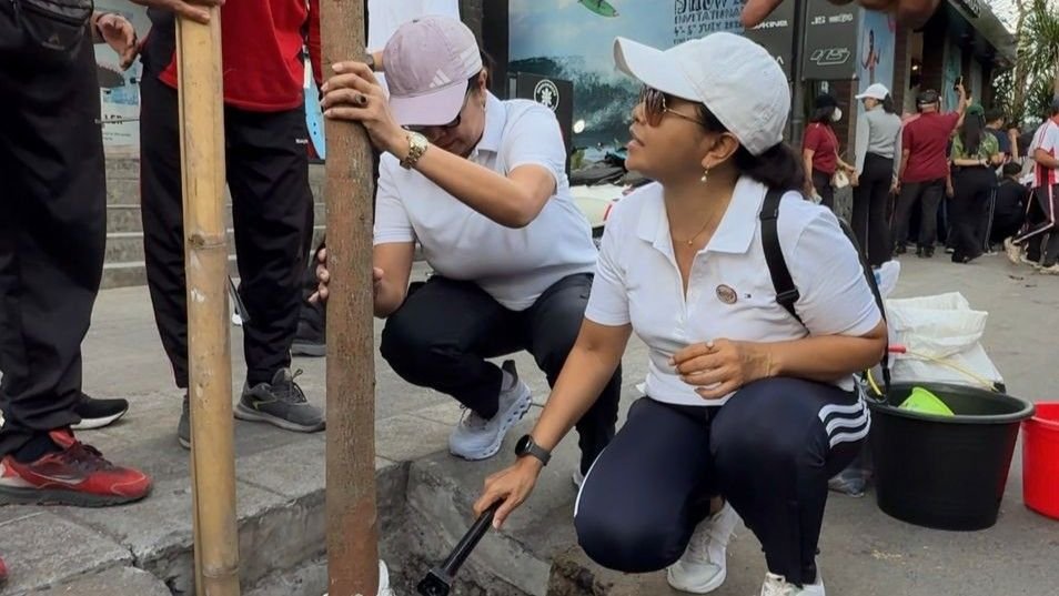 Pemkab Badung hijaukan koridor Canggu lewat investasi ekologis dan penanaman pohon di Jalan Batu Mejan