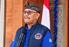 pendiri demokrat bali