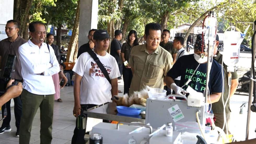 Tekan penularan rabies Pemkab Jembrana hadirkan layanan vaksinasi dan sterilisasi gratis bergilir