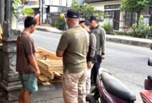 Satpol PP Denpasar tertibkan 10 PKL di trotoar Jalan Kebo Iwa Utara dan alat peraga liar di fasilitas umum