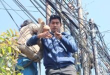 Kabel fiber optik semrawut di Singaraja ditertibkan